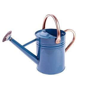 Nouvelle Arrosoir en Métal Style Crème pour Plantes, Support de Pot de Fleurs, Idéal pour la Maison et le Jardin Extérieur, Arrosoirs - Product Image 2