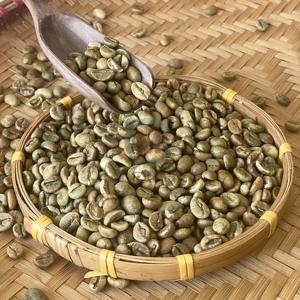 Grains de café vert Robusta pur du Dak Lak, processus naturel, tamis 20, taux de maturité élevé, nouvelle récolte, matière première pour torréfaction, ferme - Product Image 5