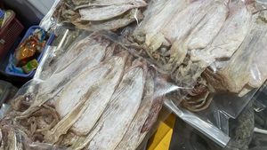 BULK PRICE <b>DRIED</b> <b>SQUID</b> / PREMIUM GRADE DEHYDRATED <b>SQUID</b> CALAMARI FOR FOOD INDUSTRY - Product Image 1