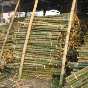 Paneles de Cerca de Bambú Naturales, Ecológicos, Resistentes al Agua para Exteriores, Varas de Bambú Crudo para Construcción, Económicos - Product Image 6