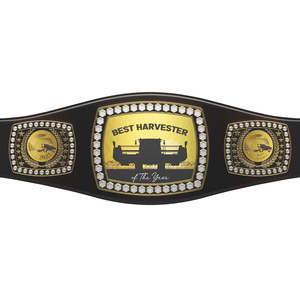 Cinturón de Campeonato al por Mayor, NUEVO Cinturón de Campeonato Mundial de Lucha Libre Ronpex International de Cuero y Latón/Zinc Personalizable - Product Image 3