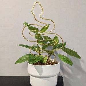 Treillis serpent en métal pour plantes de balcon intérieur extérieur Décorations de jardin et support de plantes Personnalisation - Product Image 1