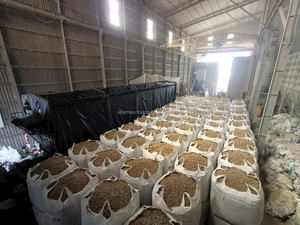 Fabricant vietnamien de granulés de biomasse à base de balle de riz, carburant écologique et propre pour chaudières, fours, centrales électriques, vente en gros - Product Image 2