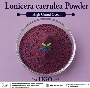 Suministro Directo de Fábrica HGO de Polvo de Lonicera caerulea de Grado Alimenticio, Secado por Aspersión o Liofilizado - Product Image 1