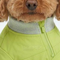Pull chaud pour chiot en polyester et élasthanne, moderne, écologique, respirant et souple, idéal pour l'entraînement des chiens et des chats