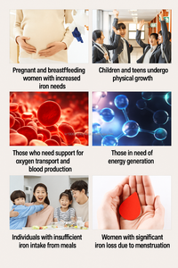 Comprimés miniatures de fer OEM Corée 250 mg 120 unités 24 mg de fer Formule douce Complément alimentaire Améliore l'immunité pour la santé quotidienne - Product Image 5