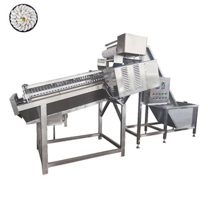 Prawn Grading Equipment Shrimp Cracker Machine Peel and Devain Shrimp Machine - Product Image 6
