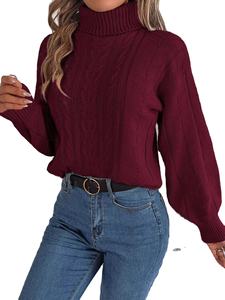 Pulls en tricot décontractés pour femmes avec col roulé 100% acrylique Logo avant - Chaleur et confort pour les saisons plus froides - Product Image 6