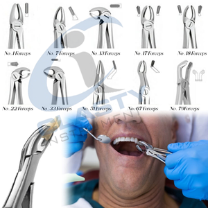 Pinzas de Extracción de Acero Inoxidable Duraderas de Alta Calidad, Herramientas Dentales Profesionales Manuales de Clase I, Instrumentos para Uso Clínico - Product Image 6