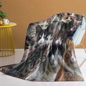 Coperta in Flanella con Stampa di Gatti per Amanti dei Felini, Morbida e Accogliente Coperta per Divano - Product Image 1