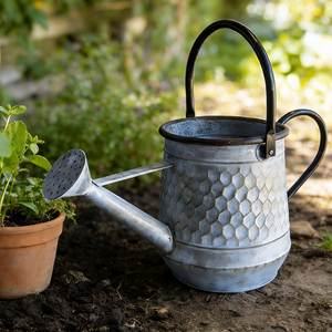 Elegante regadera metálica con acabado elegante, perfecta para regar plantas, flores y hierbas en espacios de jardín doméstico. - Product Image 1