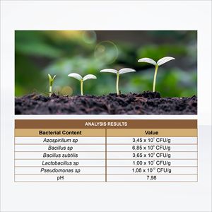 Fertilizante Orgánico Líquido GDM Black BOS con Liberación Rápida para un Crecimiento Más Rápido de las Plantas 1kg - Product Image 4