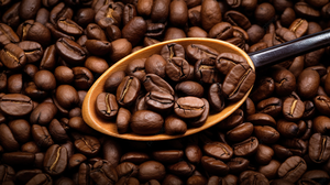 Granos de Café Arábica Verde 100% Puro, Estándar de Exportación, Suministro a Granel de Brasil - Product Image 2