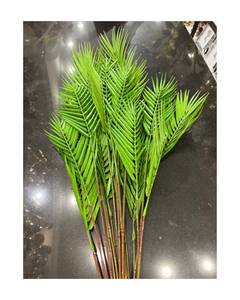 OFERTA ESPECIAL: Hojas de Coco Frescas de Alta Calidad de Vietnam - Product Image 4