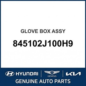 Nouveaux compartiments à gants, portes et loquets Borrego 845102J100H9 - Product Image 1