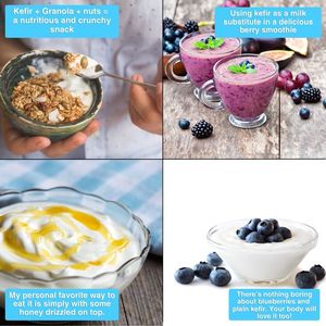 Culture naturelle de fermentation du kéfir pour les enfants | Yaourt au kéfir avec probiotiques et levure | Produit OEM japonais - Product Image 6