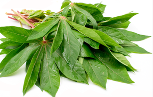 Hojas de Yuca Congeladas de Vietnam, Hoja de Tapioca IQF de Alta Calidad para Cocinar y Procesar Alimentos - Sra. Tarina - Product Image 2