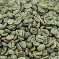 Granos de Café Verde Crudo Sin Tostar, Origen Directo de Vietnam, Granja de Alta Calidad, Suministro a Granel, IIGLOBAL FARM Modelo GB26 60kg S16 24 Meses
