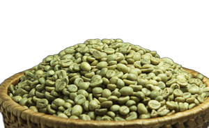 Caliente DHPoneRobusta granos de café verde de Vietnam de alta calidad listos para exportar para café entero al por mayor - Product Image 3