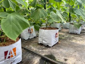 ถุงปลูกใยมะพร้าว ARAVA เป็นมิตรกับสิ่งแวดล้อม ย่อยสลายได้ วัสดุปลูกจากใยมะพร้าวสำหรับปลูกแตงกวาในโรงเรือนสำหรับเกษตรกร - Product Image 2