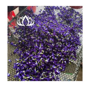 Pétales de fleur de pois papillon bleus séchés, très demandés, pour infusion de thé, coloration de boissons, pâtisserie et artisanat. LIVRAISON RAPIDE. - Product Image 1