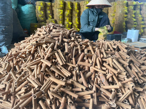 Bâtonnets d'écorce de Cassia séchée, épices naturelles pour la cuisine, assaisonnement, herbe brute du Vietnam - Product Image 4