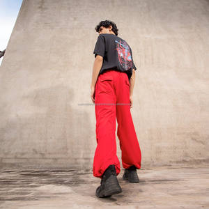 Premium Quality Nylon Baggy Pants Custom Style Print Funky Streetwear Long Knitted Adjustable Stopper Trackpants Embroidered Men - Product Image 4