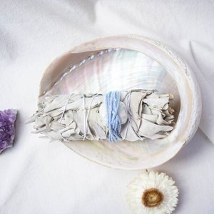 Vietnam supplier natural seashells good price sea <b>shell</b> large <b>abalone</b> ocean <b>shells</b> for smudging - Product Image 6