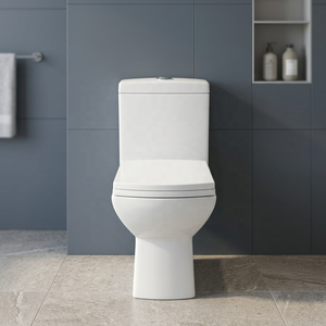 WC monobloc de style classique en céramique indienne, à double chasse, à prix abordable, pour salles de bain modernes - Product Image 4