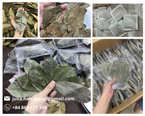 ชาซุปเปอร์โซปแบบซองพรีเมียม ชาใบกระเจี๊ยบแห้งแบบซองฉลากส่วนตัว มาตรฐานสหรัฐอเมริกา รับผลิตแบบ OEM ขายส่งจำนวนมาก - Product Image 2