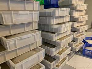 Pulpe et purée de fruit de la passion surgelées de haute qualité |   IQF Vietnam Demi-coupes pour Importateurs |   Prix de gros compétitif - Product Image 6