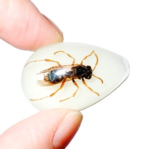 Red Wasp Real Specimen Plastic Cabochon Pear Shape Cut <b>Top</b> 33x22 mm Glow Flat Bottom for Crafts and Jewelry Making - Product Image 2