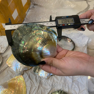 Premium <b>Decorative</b> Mother of Pearl Plate Vietnam Natural Shell Material for Vanity Tray <b>Dressing</b> <b>Table</b> Gift Tray - Product Image 1