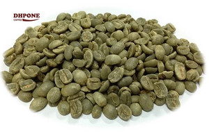 Pour les ventes Arabica entièrement lavé G1 S16, S18 grains de café vert-Exportation de grains de café du Vietnam - DHP One - Product Image 2