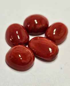 Coral Rojo Natural Italiano, Forma Ovalada Plana, Gema de Alta Calidad, Gema Suelta para Joyería - Product Image 3