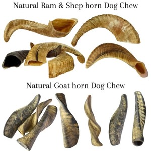 Jouet à mâcher naturel en corne de mouton pour chien, 100 % naturel, de qualité supérieure, pour l'entraînement et le jeu de rapport, à usage religieux - Product Image 1