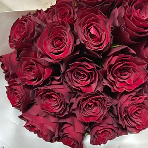 ดอกกุหลาบพรีเมียม ดอกไม้ธรรมชาติ สดสวย บานสะพรั่ง นุ่มนวล หอมละมุน เหมาะสำหรับตกแต่งงานอีเว้นท์ งานแต่งงาน และตกแต่งบ้าน - Product Image 5