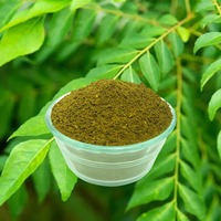 Polvo de Hojas de Curry Puro de Primera Calidad para el Crecimiento del Cabello, Control del Cabello Gris y Acondicionamiento del Cuero Cabelludo, Disponible al Mejor Precio
