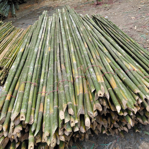 Bâtons de bambou de qualité supérieure pour la fabrication d'encens et d'agarbatti-Fabriqué au Vietnam - Product Image 5