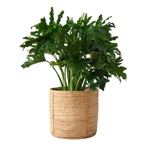 Pots de plantes faits à la main de taille personnalisée en gros meilleur modèle de prix du Vietnam sacs de culture en rotin naturel roulé - Product Image 1