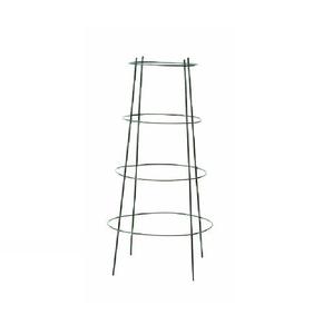 Support de plante en fer forgé tendance, thermolaqué, facile à assembler pour plantes grimpantes, taille et forme personnalisables - Product Image 4