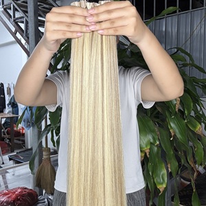 ผมแท้เวียดนาม Platinum 613 แบบตรง  ชนิด Remy  แบบ Double Drawn น้ำหนัก 100 กรัม - Product Image 2