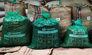 HANCOFFEE 2026 กาแฟโรบัสต้าเมล็ดเขียวเวียดนาม ผลผลิตใหม่ - ราคาขายส่งที่แข่งขันได้ - บรรจุในถุง PP/ถุงปอกระเจา ขนาด 60 กก. - Product Image 4