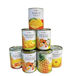 MEILLEURE VENTE Fabriqué au Vietnam Cocktail en conserve de haute qualité Ananas Papaye Boîte de noix de coco 580ml - Product Image 6