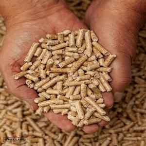 Pellets de Madera de Pino de Buena Calidad, Combustible Natural Ecológico con Densidad de 600-1100 kg/m³ para Calderas, Calefacción, Bioenergía - Product Image 5