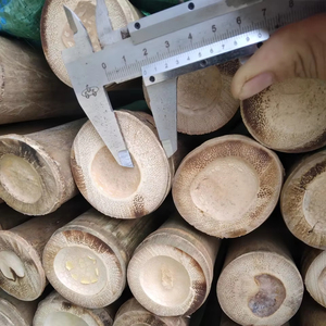 Poteaux en bambou naturel pour le soutien des plantes agricoles, fournis en gros par l'usine du Vietnam - Product Image 2
