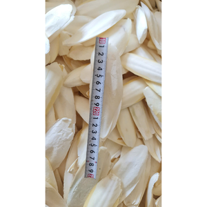Os de Seiche Séché de Qualité Commerciale, Frit sous Vide, Friandise à Mâcher pour Oiseaux de Compagnie (Perroquet, Canari, Pinson, Budgie) - Vente en Gros - Product Image 1
