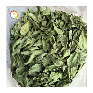 Feuilles de goyavier séchées nutritives, parfaites pour soutenir le système immunitaire et les produits botaniques pour les réseaux de distribution mondiaux - Product Image 1