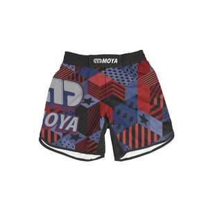 Men's MMA <b>Grappling</b> <b>Shorts</b> Customizable Front Design Heat-Transfer Printed Spandex/Polyester Fabric Quick Dry Breathable Durable - Product Image 1