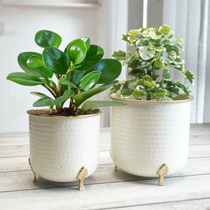 Juego de Jarrones Modernos para Mesa, Macetas de Metal Blanco con Borde Dorado, Diseño Acanalado, Maceteros Decorativos para Uso en Interiores - Product Image 1